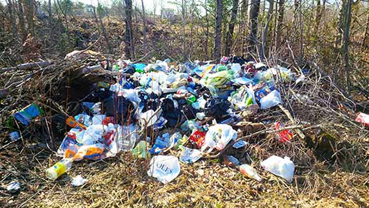 Illegal dumping