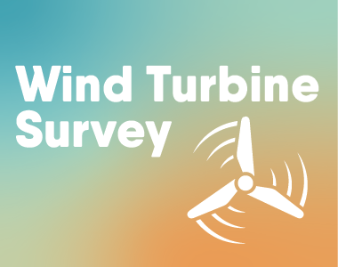 Wind Turbine Survey