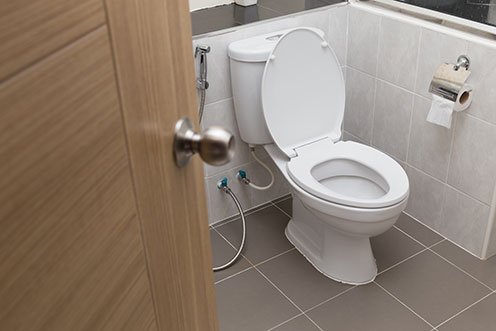 toilet
