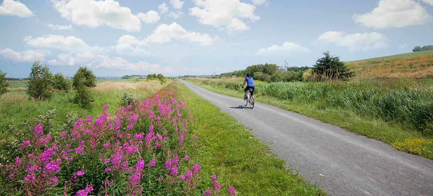 Cobequid Trail in the Summer