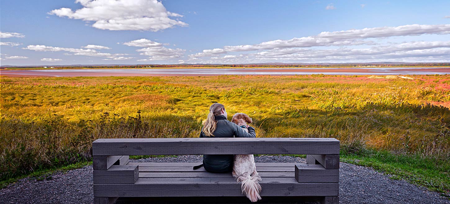 Cobequid Trail